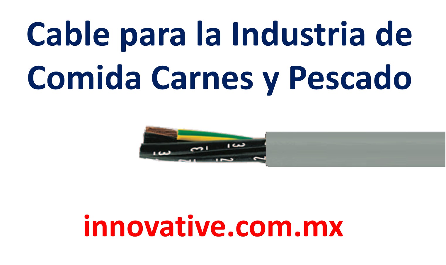 Cable para la Industria Panificadora y Galletas